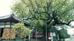 無量寺の自然