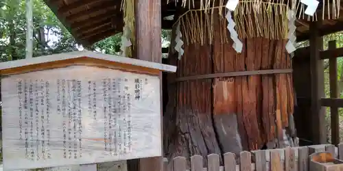 敷地神社（わら天神宮）(京都府)