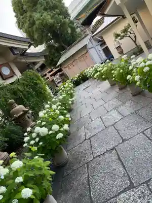 坐摩神社(大阪府)