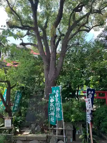 江北氷川神社の自然