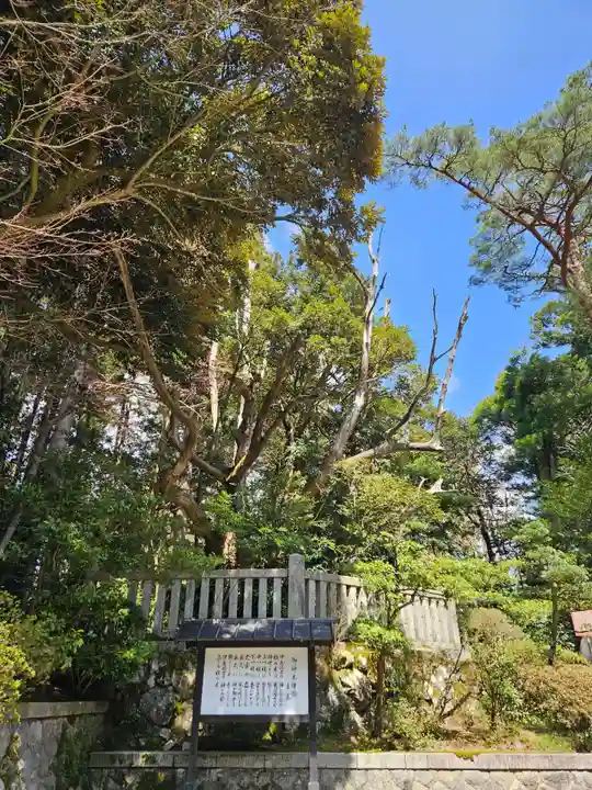 彌彦神社(新潟県)