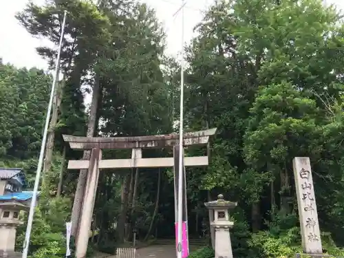 白山比咩神社の鳥居