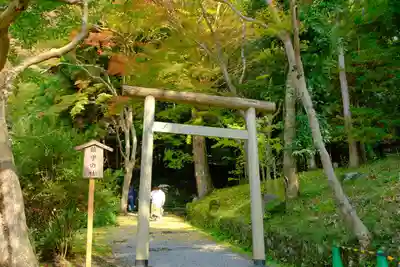 出雲大神宮の鳥居