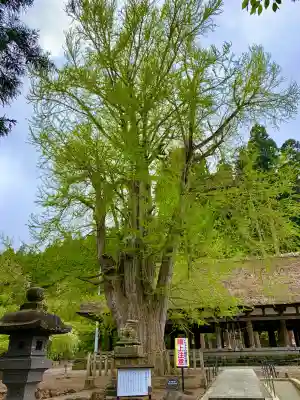 新宮熊野神社(福島県)