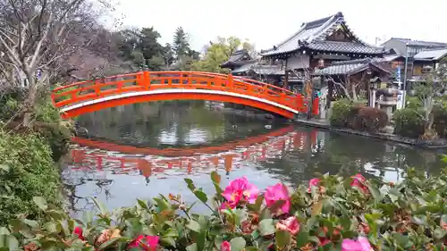 神泉苑(京都府)