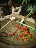 東京羽田 穴守稲荷神社(東京都)