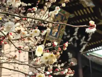 北野天満宮(京都府)