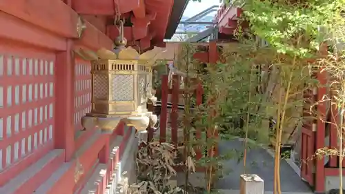 秩父神社の本殿・本堂
