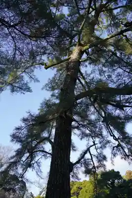 伊勢神宮内宮（皇大神宮）(三重県)