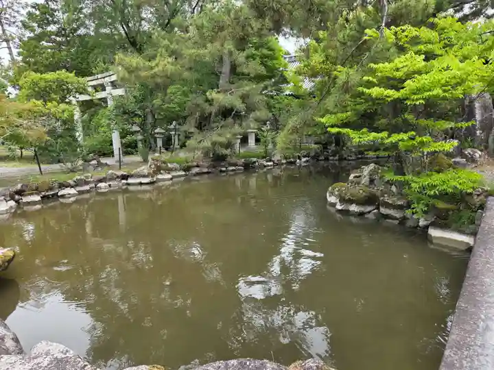 長浜八幡宮(滋賀県)