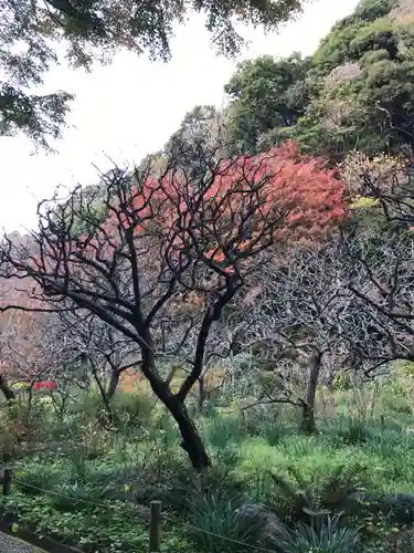 瑞泉寺の庭園