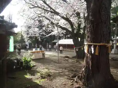 前原御嶽神社(千葉県)