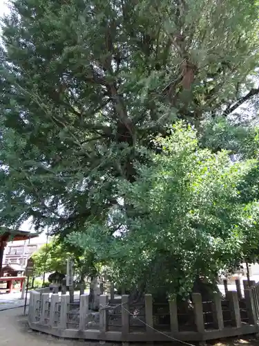 飛騨国分寺(岐阜県)
