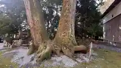 岡高神社(滋賀県)