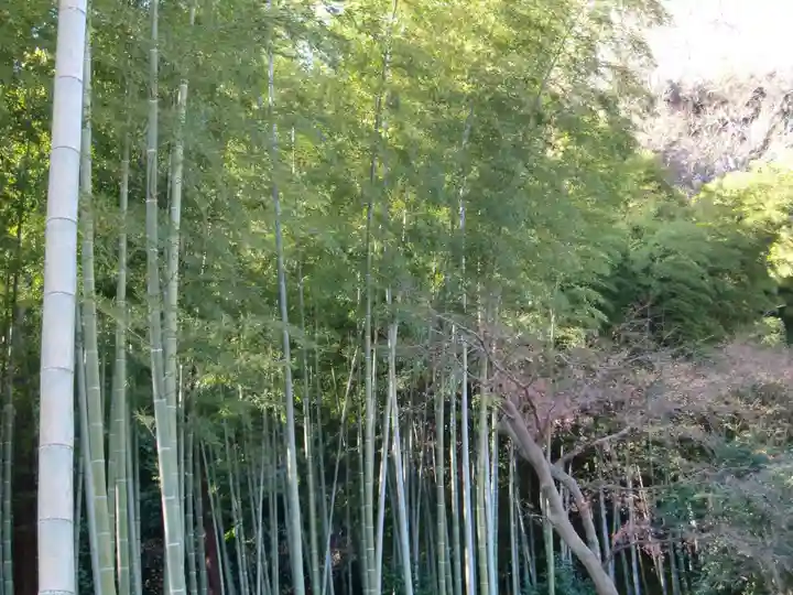 英勝寺(神奈川県)
