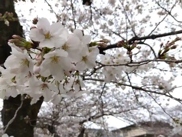吒枳尼天(法伝寺)(京都府)