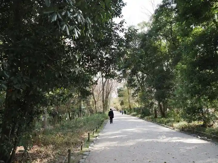 賀茂御祖神社(下鴨神社)の景色