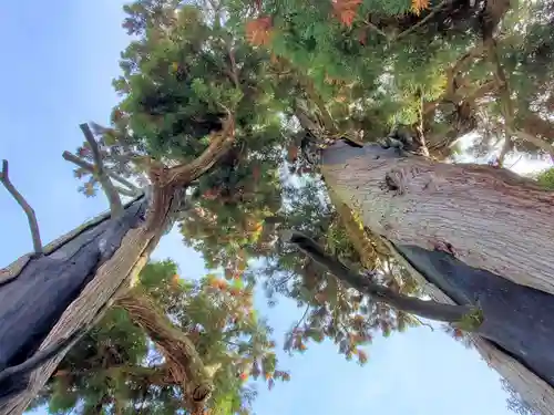 石部神社の自然