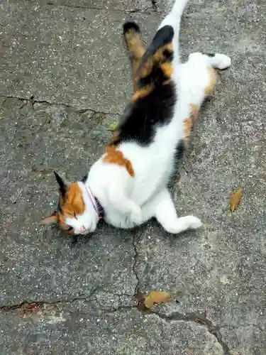 千光寺(広島県)