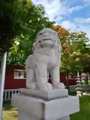 新川皇大神社の狛犬