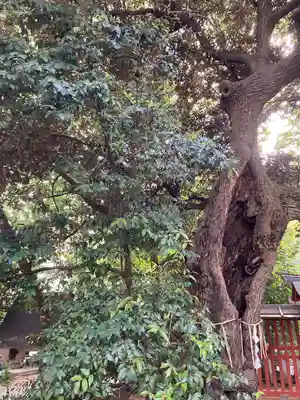 金王八幡宮(東京都)