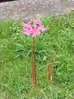 横浜 西方寺(神奈川県)