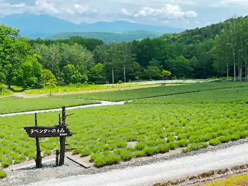 富良野神社の周辺