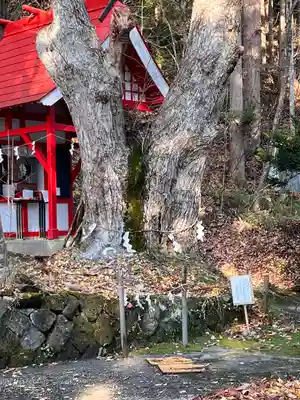 御座石神社(秋田県)