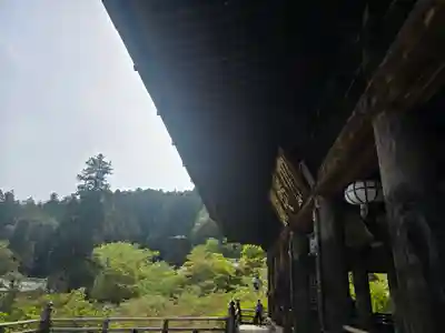 長谷寺(奈良県)