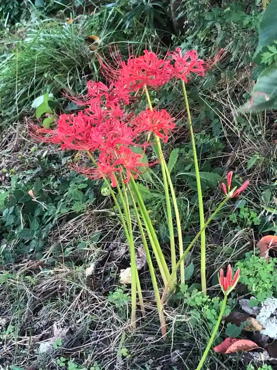 高司神社〜むすびの神の鎮まる社〜(福島県)