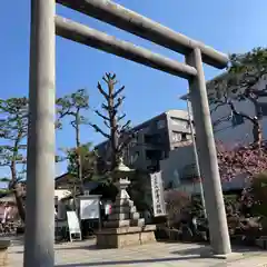 桜神宮の鳥居