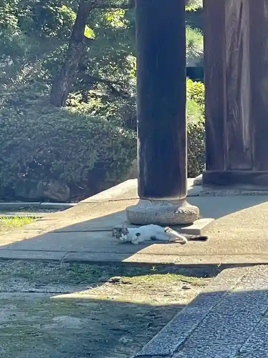 伊勢の国 四天王寺の動物
