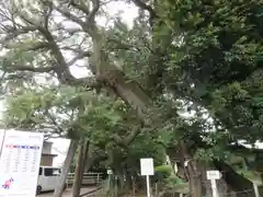 九重神社(埼玉県)