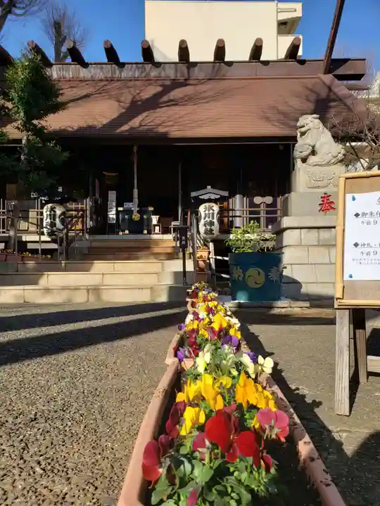 高円寺氷川神社の本殿・本堂
