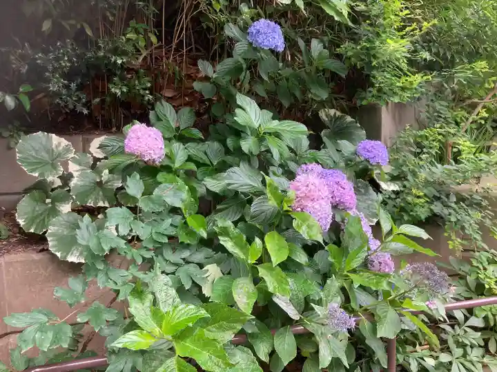 松嶺院(神奈川県)