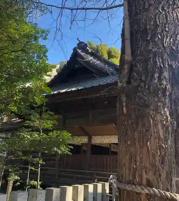 田無神社の本殿・本堂