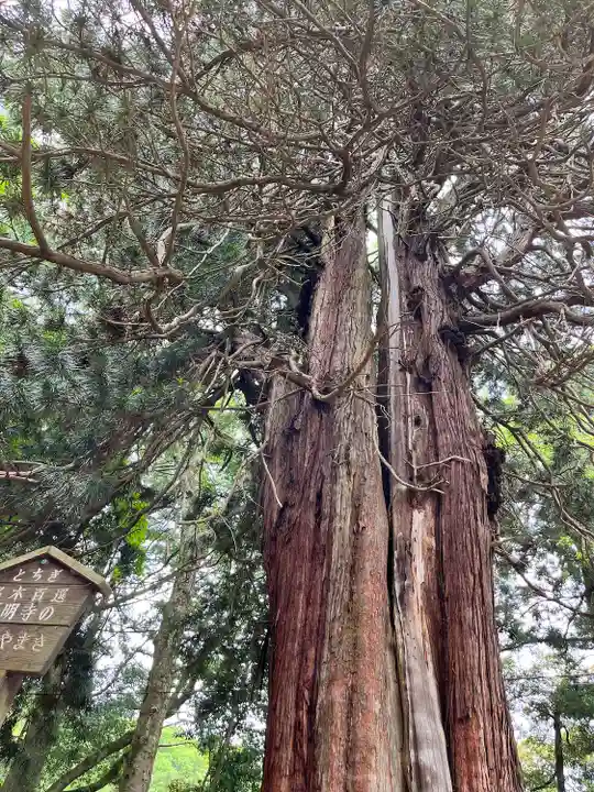 西明寺(栃木県)
