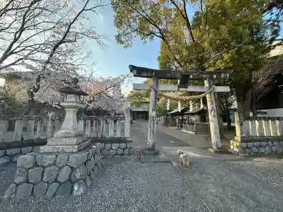 貴布禰神社(静岡県)