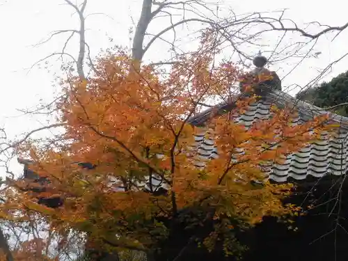 瑞泉寺のその他建物