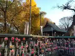 高安寺(東京都)