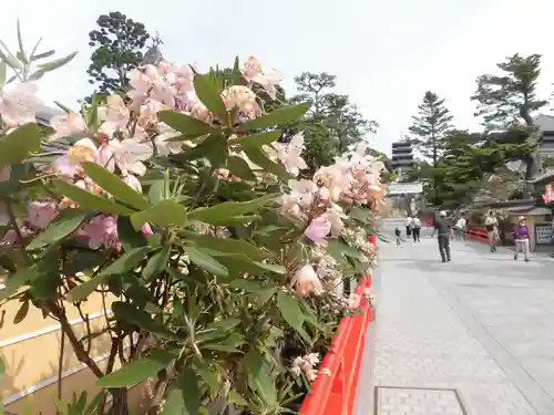 中山寺の庭園