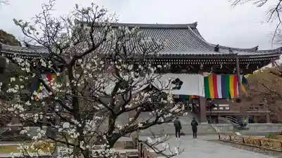  智積院(京都府)