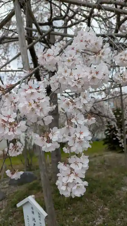 橋寺 放生院(京都府)