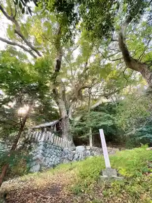 松山諏訪神社(岐阜県)