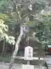 久能山東照宮(静岡県)