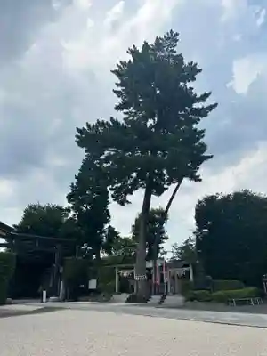 中野沼袋氷川神社(東京都)