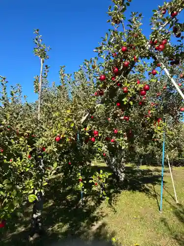 阿智神社前宮(長野県)