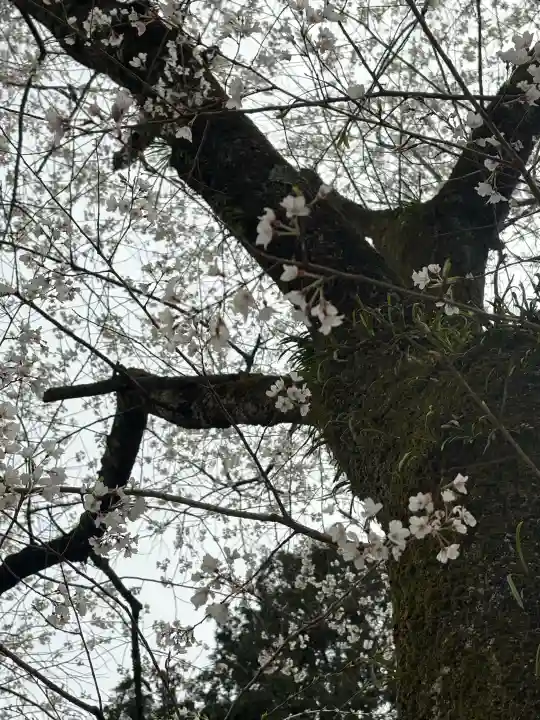 花岳寺の{uncategorized: "未分類", other: "その他", undefined: "問題あり", building: "その他建物", grave: "お墓", sacred_gate: "鳥居", guardian: "狛犬", statue: "像", buddha: "仏像", history: "歴史", nature: "自然", garden: "庭園", animal: "動物", pagoda: "塔", temizu: "手水舎", mountain_gate: "山門・神門", sanctuary: "本殿・本堂", subordinate: "末社・摂社", art: "芸術", scenery: "景色", jizo: "地蔵", ema: "絵馬", goshuin: "御朱印", omikuji: "おみくじ", items: "授与品その他", amulet: "お守り", goshuincho: "御朱印帳", eats: "食事", festival: "お祭り", votive_dance: "神楽", shichigosan: "七五三参", wedding: "結婚式", experience: "体験その他", initially: "初詣", around: "周辺", anti_infection: "感染症対策"}