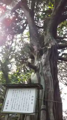 大瀬神社のその他建物
