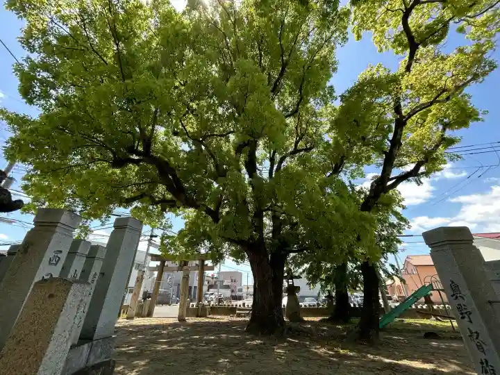 八幡神社(兵庫県)